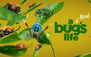 寻找资源网-让天下没有难找的资源！