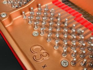 寻找资源网-让天下没有难找的资源!