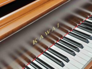 寻找资源网-让天下没有难找的资源！