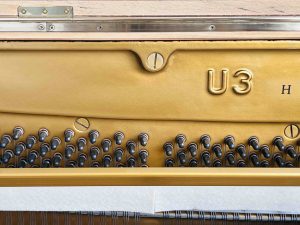 寻找资源网-让天下没有难找的资源！