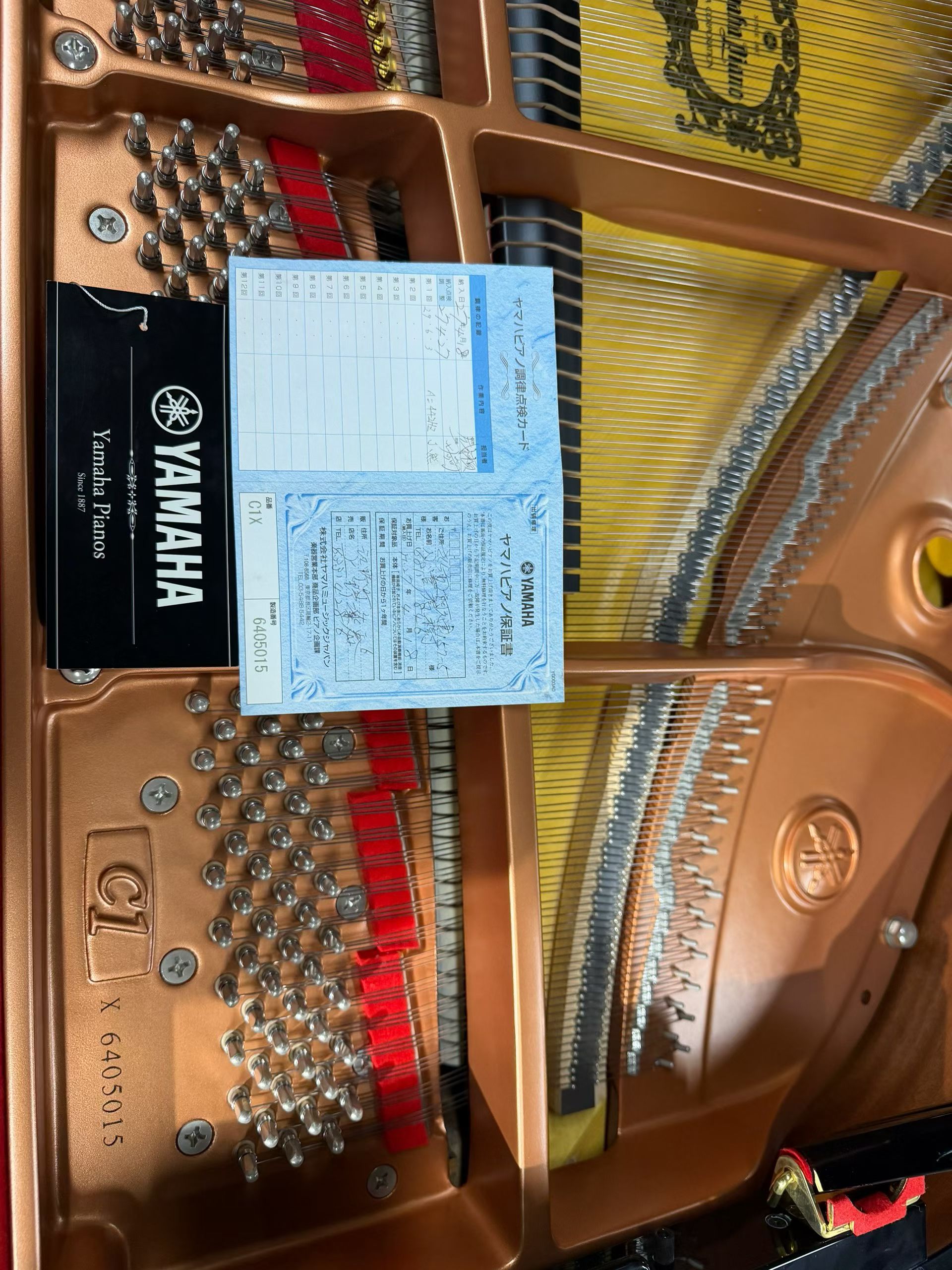 寻找资源网-让天下没有难找的资源!