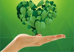 健康-寻找资源网